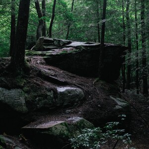 Light on the Trail