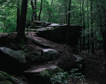 Light on the Trail