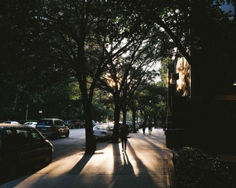 Light Break through Trees