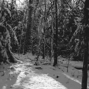 Snow in Tennessee