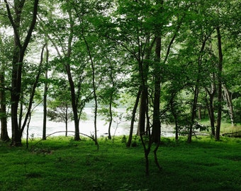 Radnor Lake State Park, Nashville, Tennessee