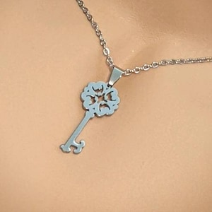Day Collar * Key Pendant * Key Holder * Locking Options * 24/7 Wear