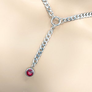 Day Collar * O Ring w/ Color Options * Locking Options * 24/7 Wear