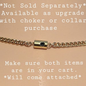 Nicht separat erhältlich ** Nur mit Kauf eines Halsbands / einer Halskette erhältlich** Gold Locking Haken Hex Lock