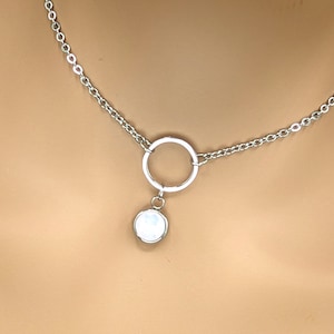 Day Collar * O Ring w/ Color Options * Locking Options * 24/7 Wear