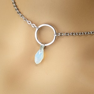 Day Collar * O Rings w/ Color Options * Locking Options * 24/7 Wear