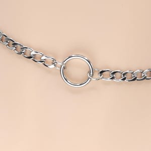 Day Collar * O Ring * Locking Options * 24/7 Wear