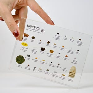 Artifact Museum 2nd Edition RARE historical item display Civil War Bullet Roman Coins ancient history historian gift (C.O.A. Included)