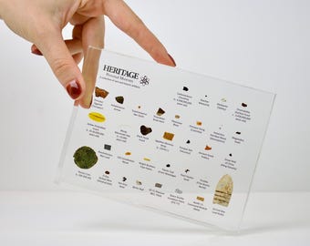 Artifact Museum 2nd Edition RARE historical item display Civil War Bullet Roman Coins ancient history historian gift (C.O.A. Included)