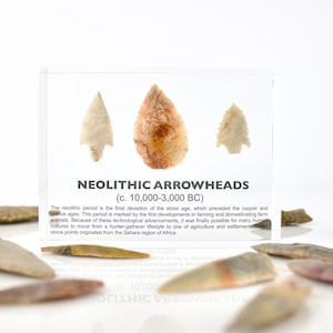 Neolithic Arrowheads Authentic Display Museum Decoration for STEM Students Classroom Desk Decor Fossil Archaeology (C.O.A. Included)