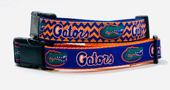 florida gators dog collar