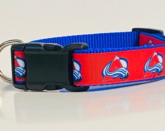 avalanche dog collar