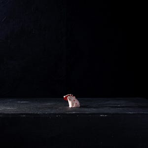 May include: A small, light-colored object with red accents sits on a dark, textured surface. The background is a solid black, creating a high-contrast image. The object appears to be the focal point, illuminated against the dark backdrop.