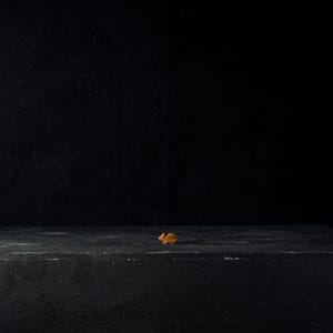 Puede incluir: Una pequeña hoja seca, de color marrón anaranjado, descansa sobre una superficie negra oscura y texturizada. La hoja está centrada en la superficie, que parece ser un bloque o una mesa. El fondo es negro sólido.