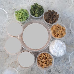 May include: A selection of small, clear plastic pots filled with different granular materials, arranged in a circle. The colours vary from light green to dark brown and white. A larger central container with a blank label is also present.