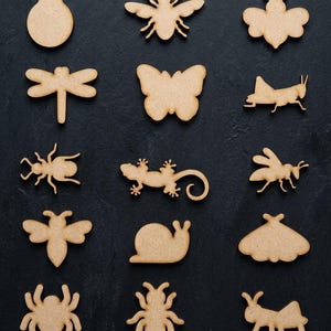May include: A collection of fifteen light brown, flat, wooden cutouts shaped like various insects and small creatures, including a ladybug, bee, dragonfly, butterfly, grasshopper, beetle, lizard, snail, moth, and spider, arranged in a grid.