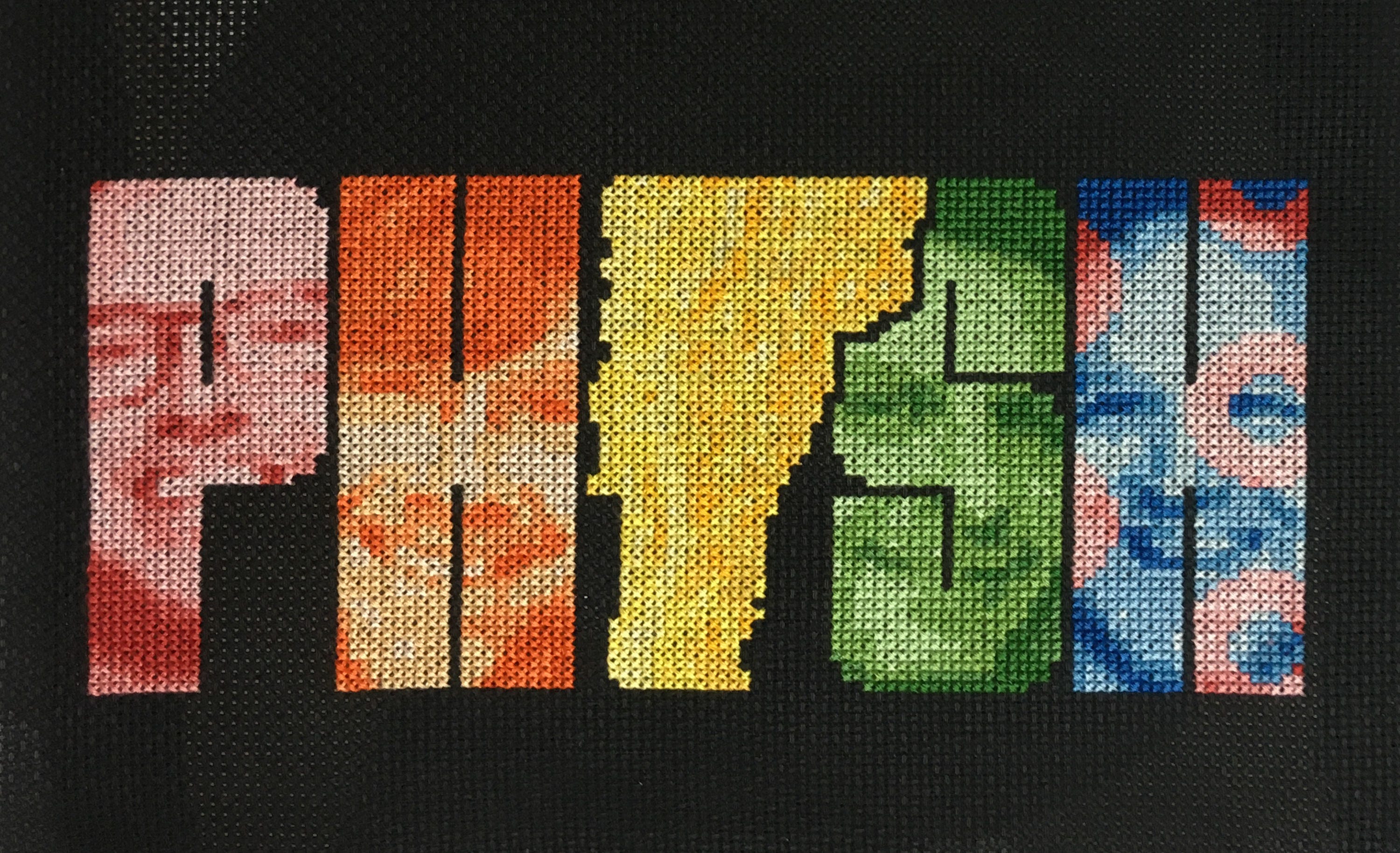 The Phish From Vermont Counted Crossstitch Pattern Etsy