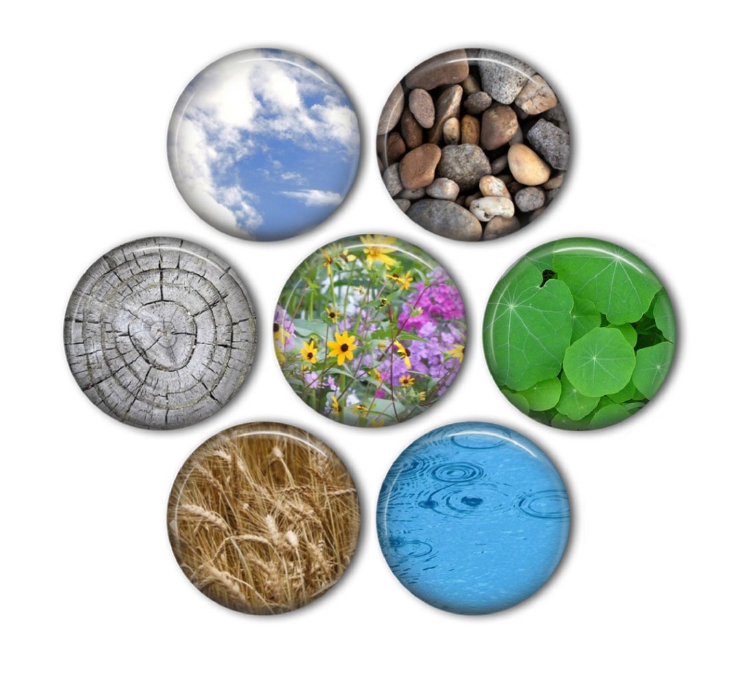 Nature 1" Magnets - Set of 7 - Etsy
