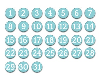 Pastel Teal Aqua Perpetual Calendar-numbers 1-31- 1" Magnets-Days of the month