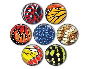 Butterfly Wings 1" Magnets - set of 7