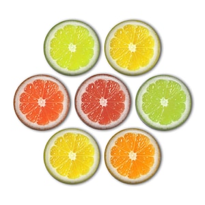 Citrus 1&quot; Magnets - set of 7