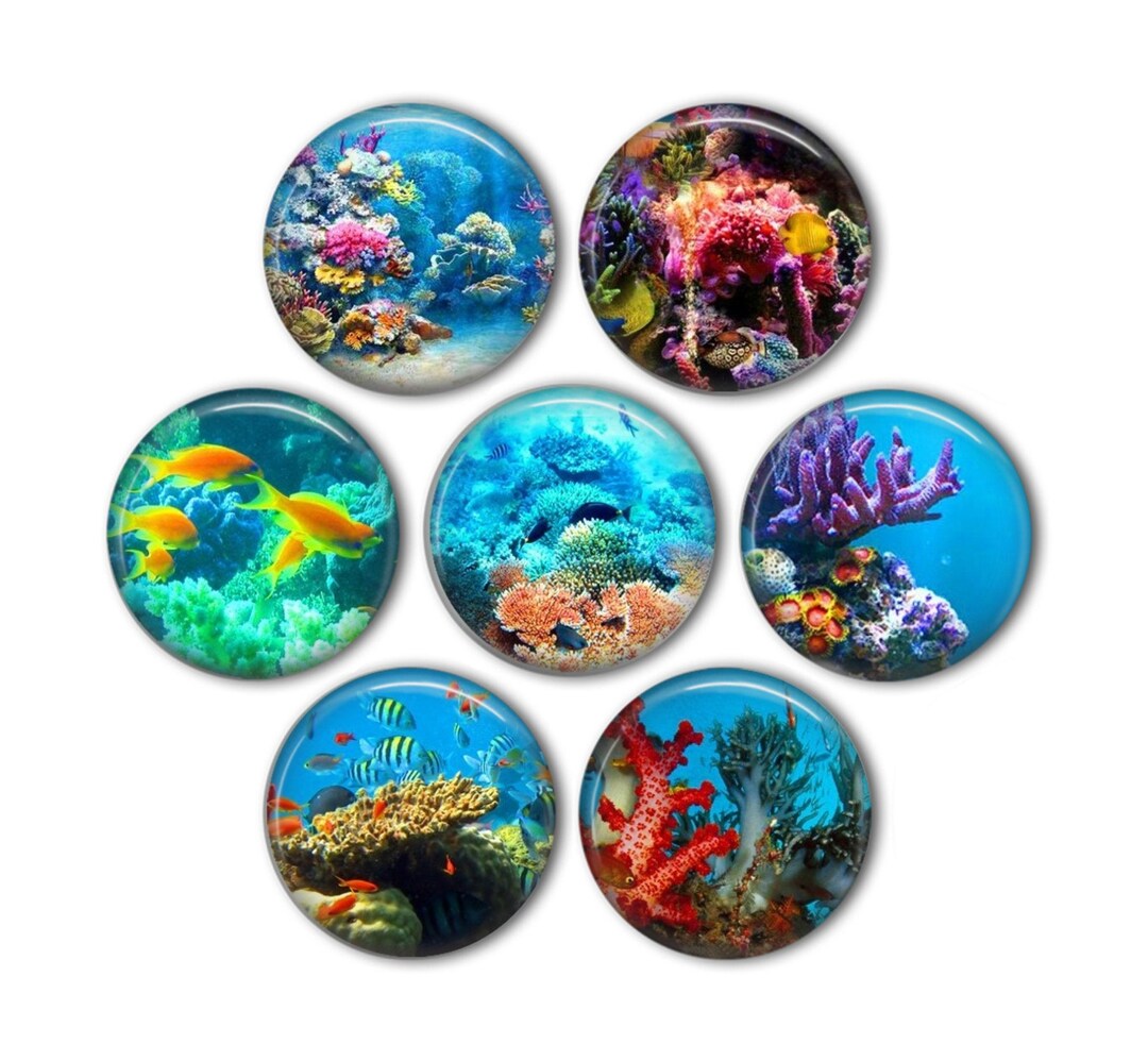 Coral Reef 1 Set of 7 Etsy