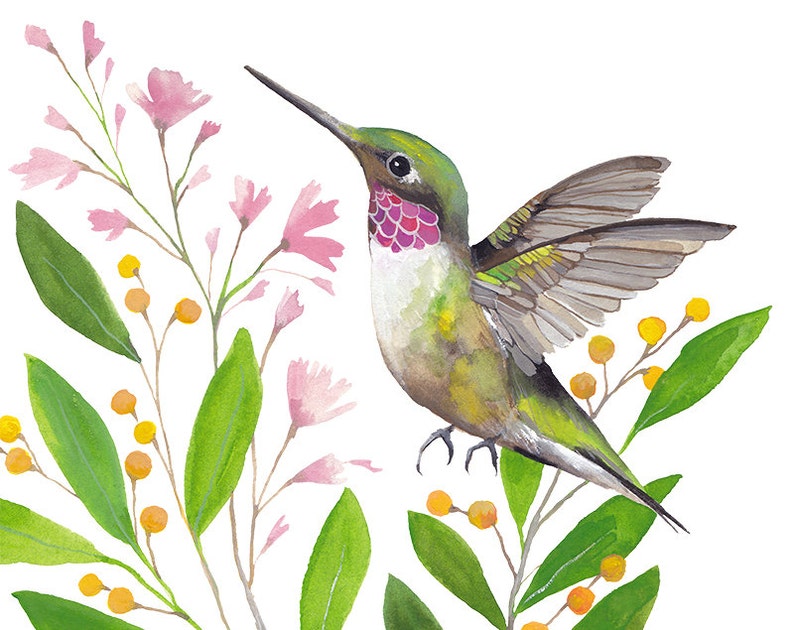 Hummingbird Art Hummingbird Print Printable Hummingbird Etsy Australia