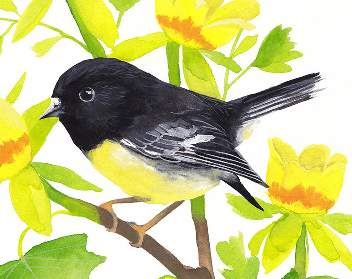 Bird Printable Wall Art Home Decor Wall Print Printable Art - Etsy