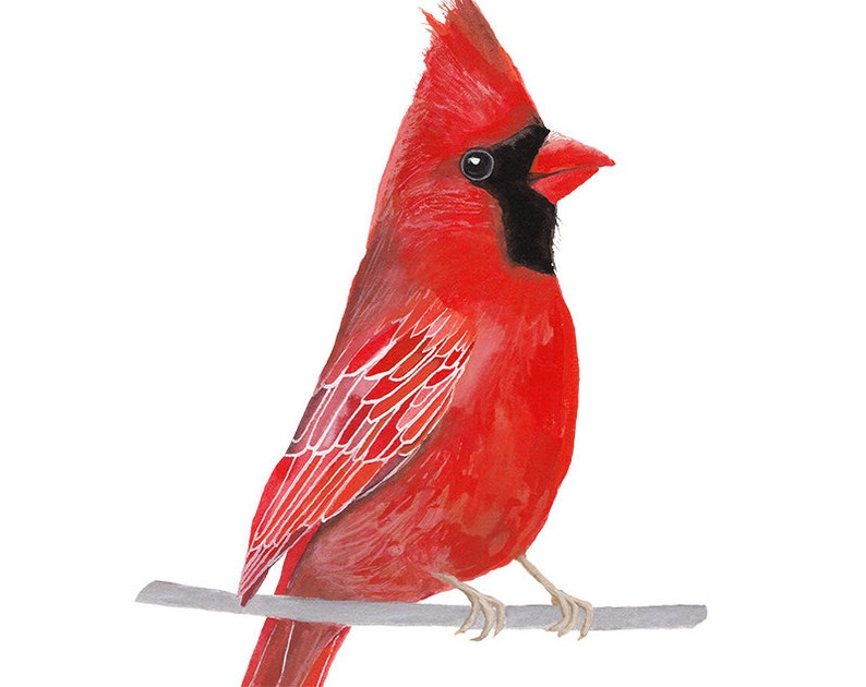 bird-print-cardinal-bird-printable-bird-wall-printable-etsy