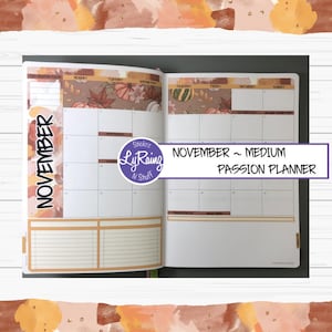 NOVEMBER 2025 ~ MEDIUM ~ Passion Planner ~ Monthly Decorative Kit ~ Sunday or Monday Start ~ A La Carte