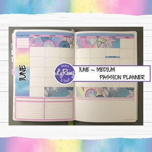 JUNE 2025 ~ MEDIUM ~ Passion Planner ~ Monthly Decorative Kit ~ Sunday or Monday Start ~ A La Carte