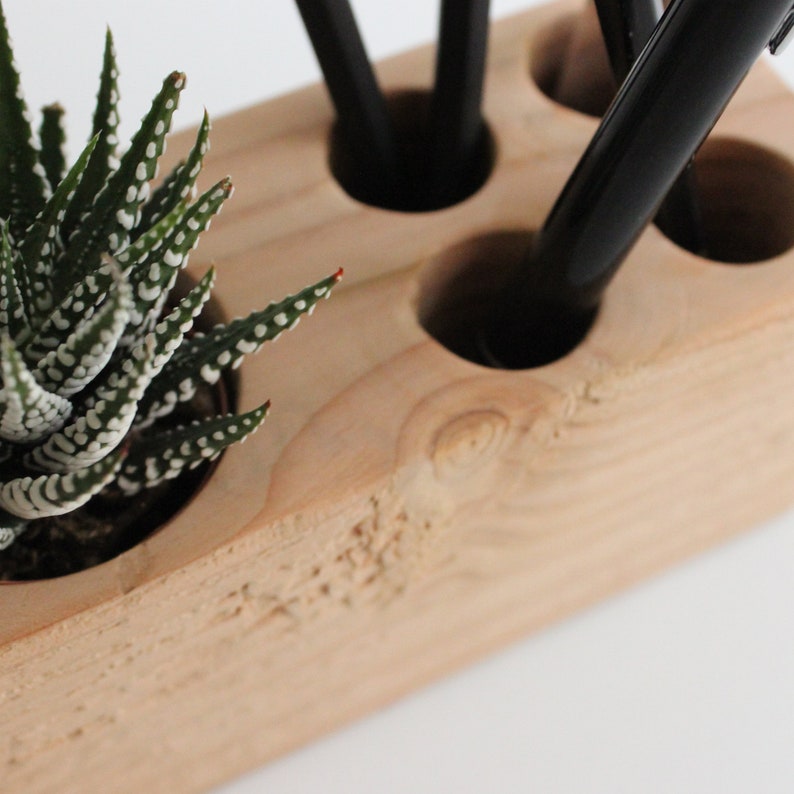 succulent pen holder