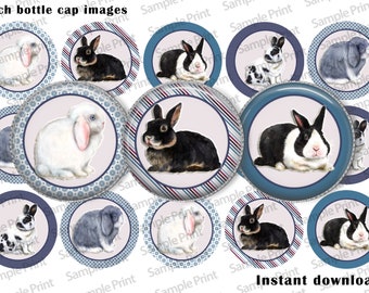 Bunny BCI - Bunny Bilder - Flaschenkappen Bilder - 25mm Cabochons - 1 Zoll Kreise - Kreis Cabochons - Digitale Bilder - Digitale Kunst - Druckbar