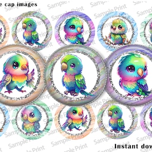 Afbeeldingen papegaaien - afbeeldingen Parrot BCI - Kroonkurkafbeeldingen - cabochons van 25 mm - cirkels van 1 inch - doe-het-zelfmagneten - doe-het-zelf badgehaspel - regenboogvogel - kleurrijk