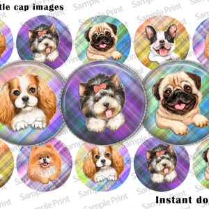 Dog breed images - Dog breed BCI - Cavalier images - Yorkie images - Pomeranian images - Pug BCI - Boston terrier BCI - Bottle cap images