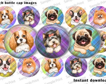 Dog breed images - Dog breed BCI - Cavalier images - Yorkie images - Pomeranian images - Pug BCI - Boston terrier BCI - Bottle cap images