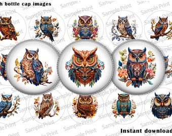 Owl BCI - Owl images - Bottle cap images - 25mm cabochons - 1 inch circles - Digital image sheet - Instant download - Nature images - Animal