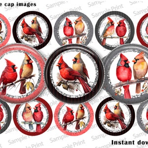 Imágenes de cardenales - Cardenal BCI - Imágenes de aves - Aves BCI - Cabujones de 25 mm - Círculos de 1 pulgada - Imágenes de tapas de botellas - Hoja de imágenes digitales - Impresiones