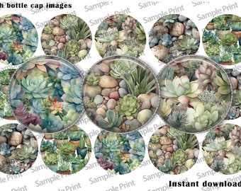 Plant images - Editable images - Plant BCI - Editable BCI - 25mm cabochons - 1 inch circles - Bottle cap images - Succulent images - Prints