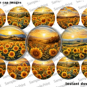 Sunflower field - Sunflower images - Sunflower BCI - Digital collage sheet - Digital image sheet - 25mm cabochons - 1 inch circles - Crafts