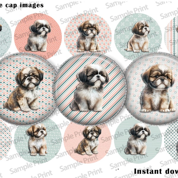 Shih Tzu images - Shih Tzu BCI - 25mm cabochons - 1 inch circle - Bottle cap images - Dog images - Dog BCI - Dog breed - Digital image sheet