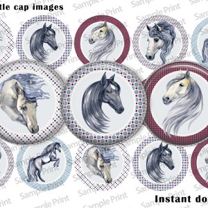 Horse images - Horse BCI - Bottle cap images - 25mm cabochons - 1 inch circles - Digital image sheet - Horse art - Craft supply - Printable