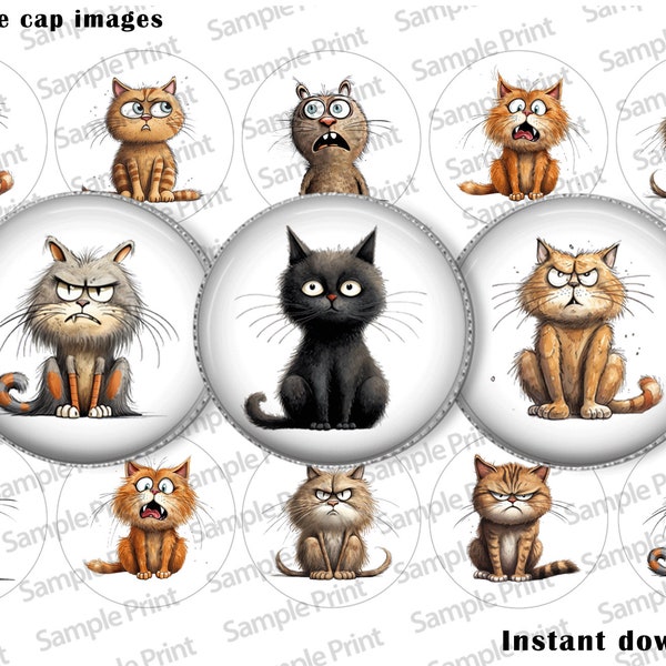 Funny cat images - Funny cat BCI - Angry cat images - Angry cat BCI - Bottle cap images - 1 inch circles - 25mm cabochons - Digital art