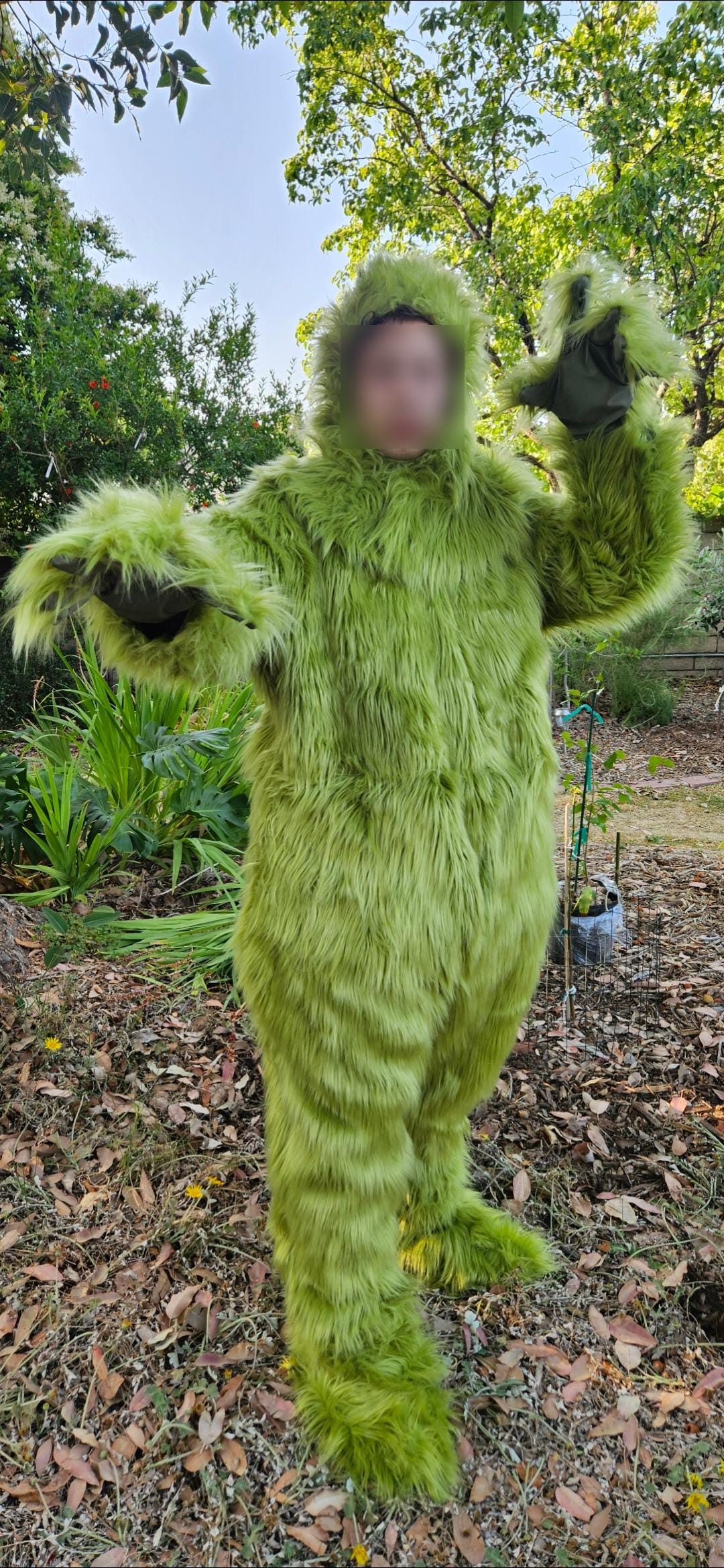 Cookie Monster Costume Adult