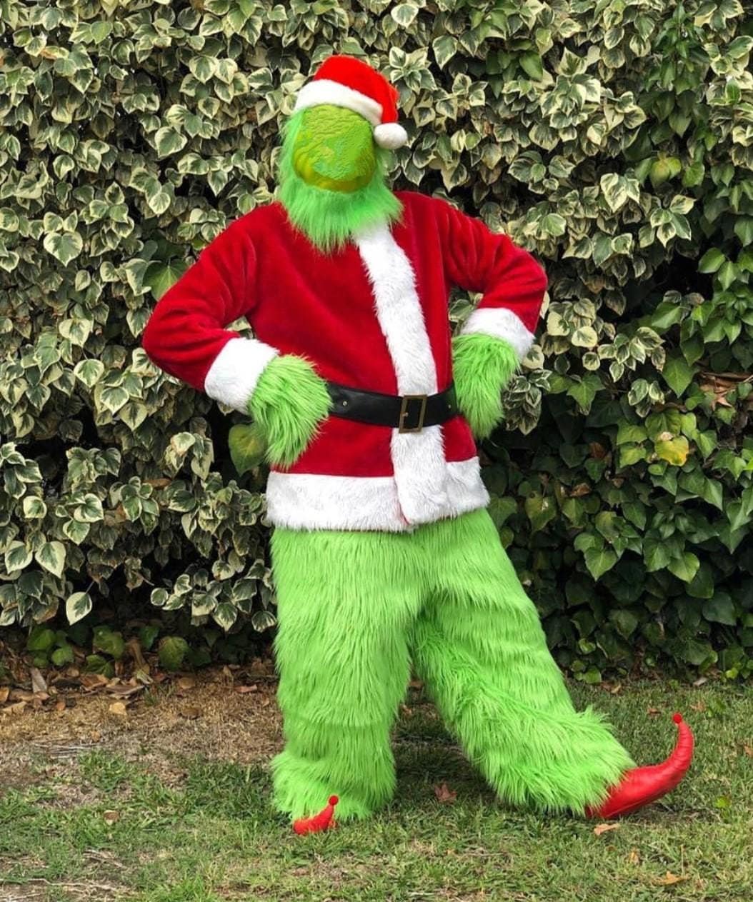 Grinch in Santa Suit Etsy