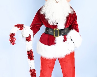 Mickey Mouse inspired costume in Santa outfit. Christmas. Event. Party. Holiday.