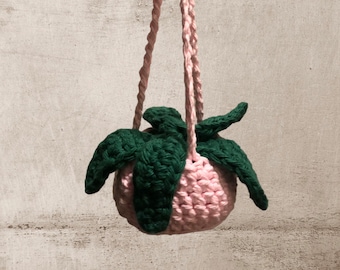 Crochet hanging plant | Car accessory | Crocheted home decor