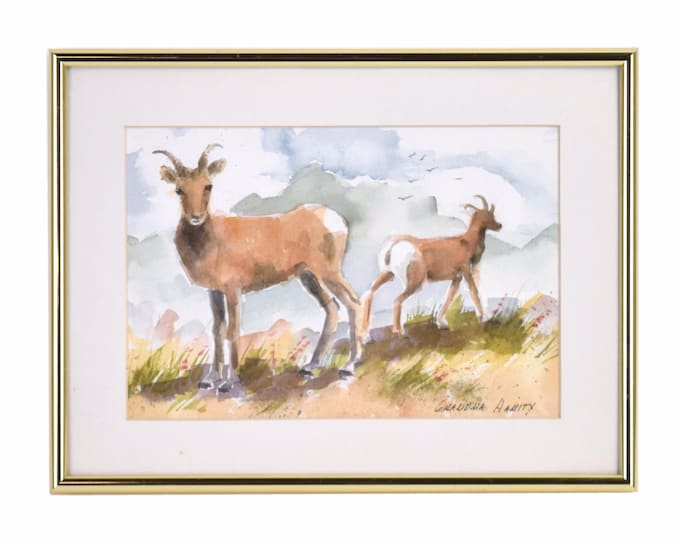 Vintage Watercolor Painting Big Horn Sheep Mount Evans Colorado signed Hamity