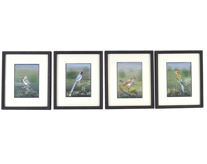 SOLD! Vintage Set 4 Finely Rendered Colorful Ornithological Bird Paintings