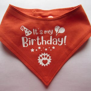 Peut inclure: Bandana pour chien en tissu orange avec du texte blanc qui dit "C'est mon anniversaire !" avec un chapeau de fête, des ballons et une empreinte de patte.